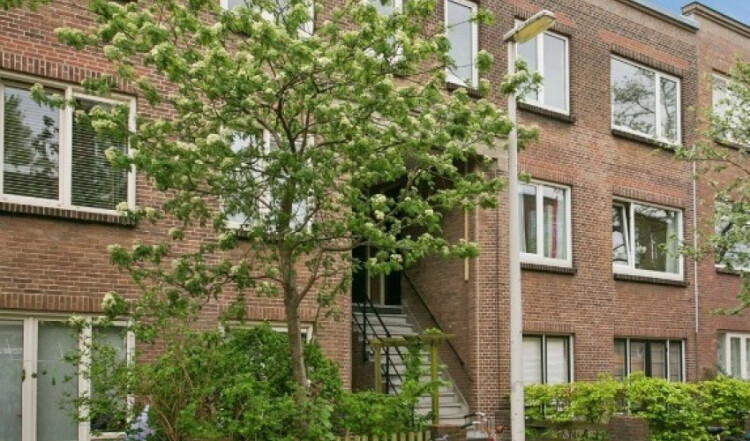 Anjelierstraat, Den Haag
