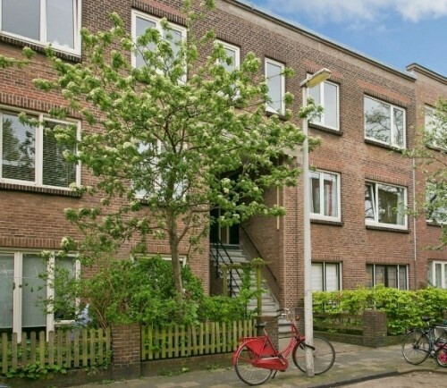Anjelierstraat