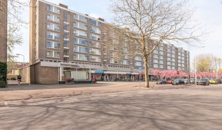 Beresteinlaan, Den Haag