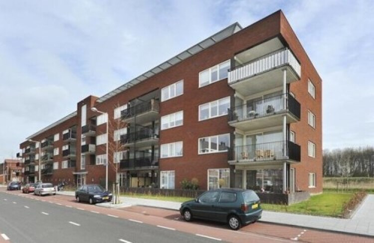Bergermeerstraat, Den Haag