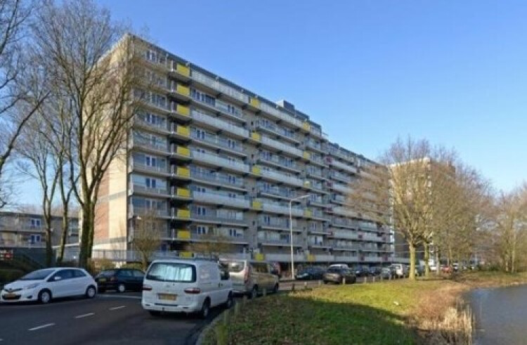 De Brink, Den Haag