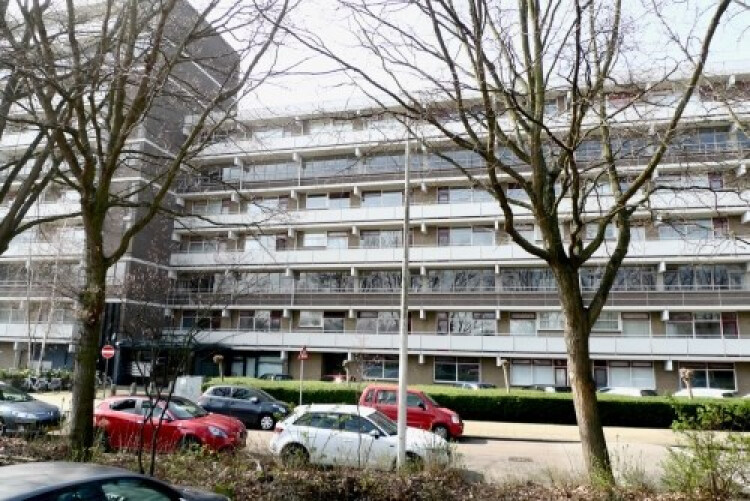 De Brink, Den Haag