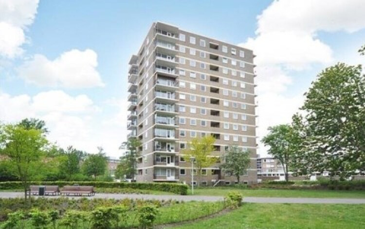 Dignaland, Den Haag
