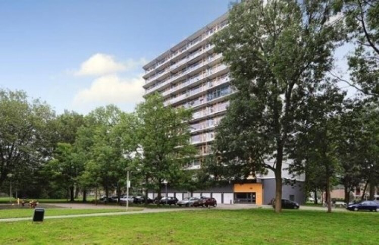 Elviraland, Den Haag