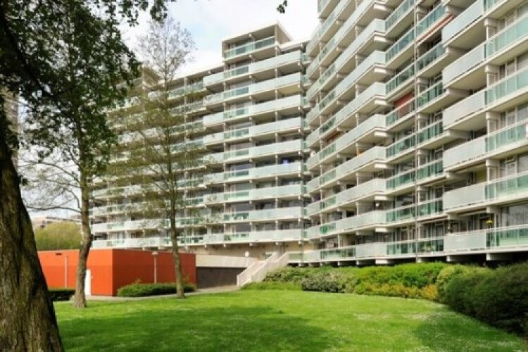 Forellendaal, Den Haag