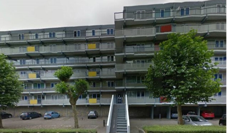 Forellendaal, Den Haag