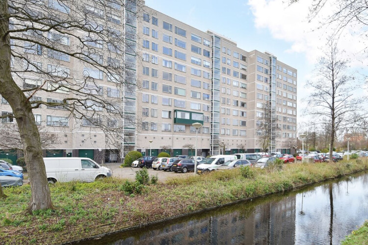 Forellendaal, Den Haag