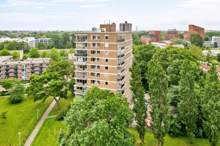 Hendrinaland, Den Haag