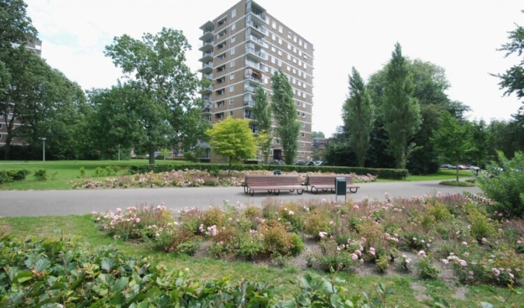 Hendrinaland, Den Haag