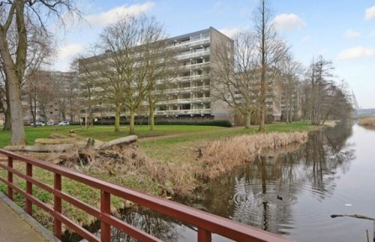 Isabellaland, Den Haag