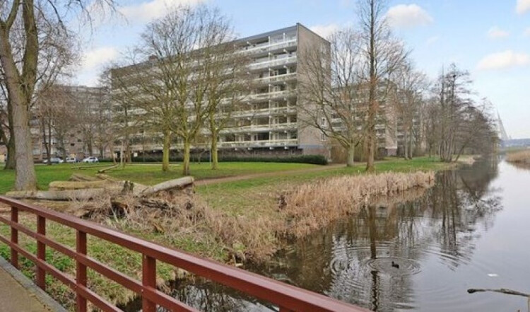 Isabellaland, Den Haag