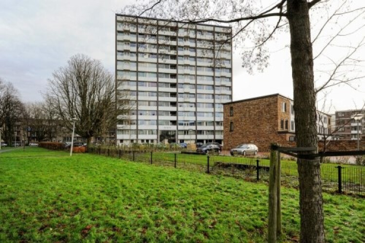 Roggekamp, Den Haag