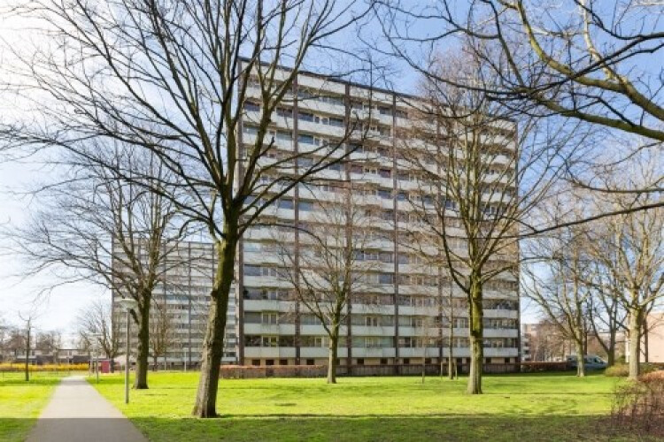 Roggekamp, Den Haag