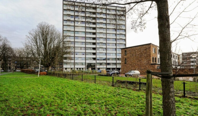 Roggekamp, Den Haag