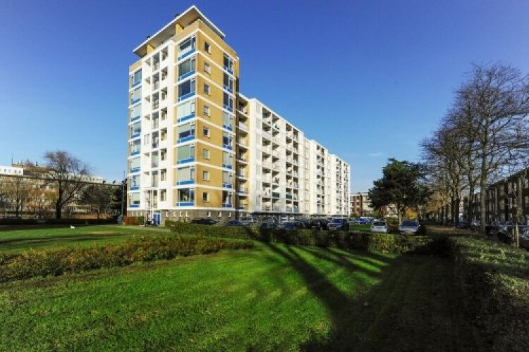 Segbroeklaan, Den Haag