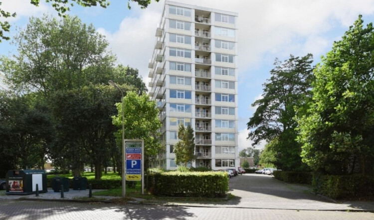 Tarwekamp, Den Haag