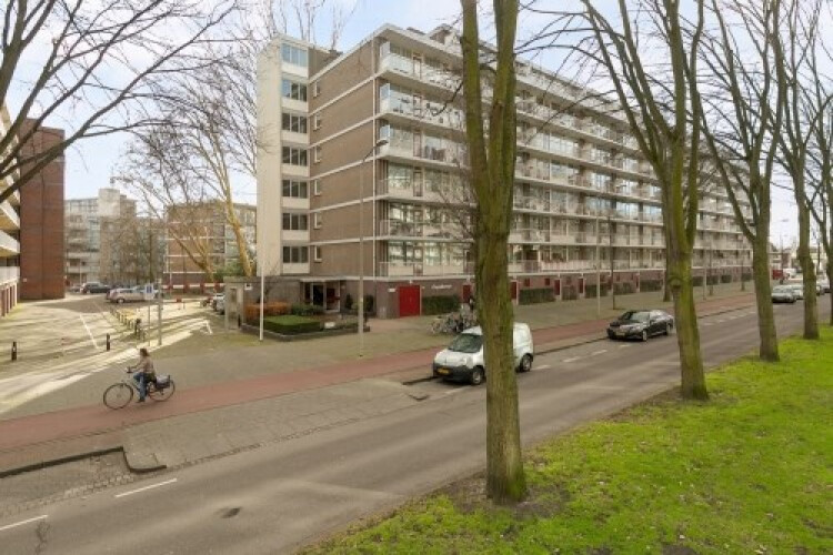 Volendamlaan, Den Haag