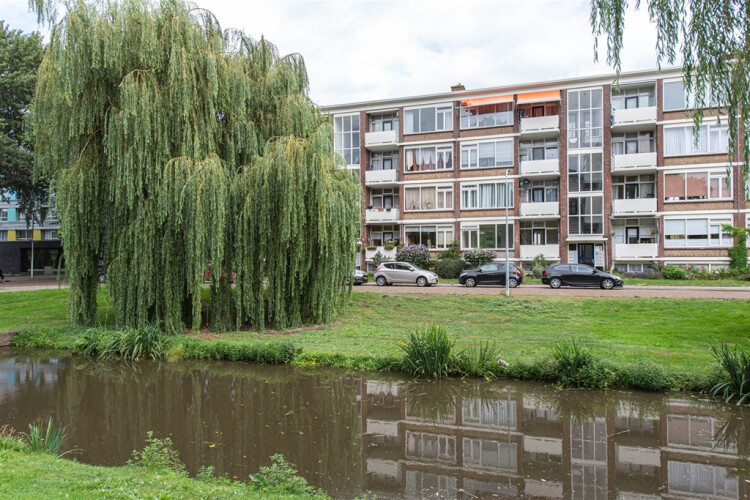 Vrederustlaan, Den Haag