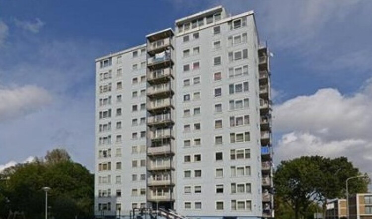 Wezelrade, Den Haag