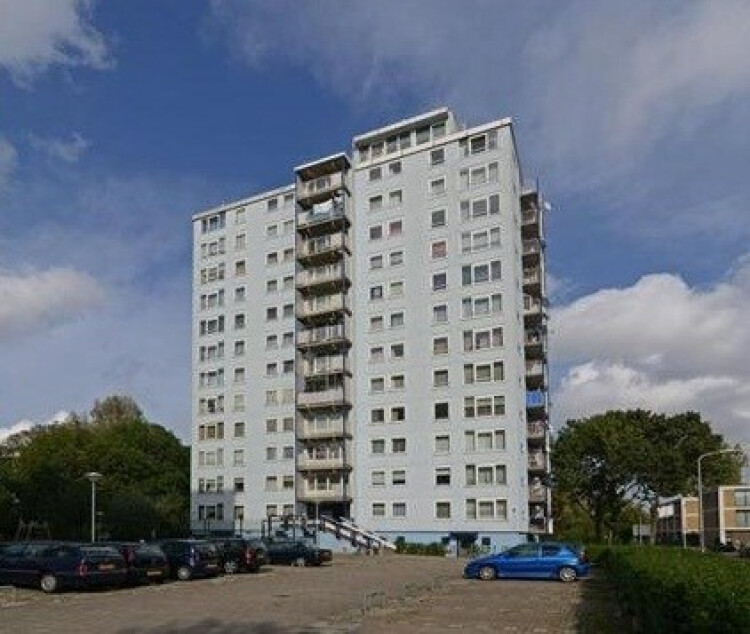 Wezelrade, Den Haag
